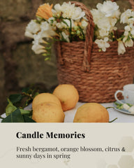 The 4-pack delivers up to 80 hours of clean, even-burning beeswax fragrance.