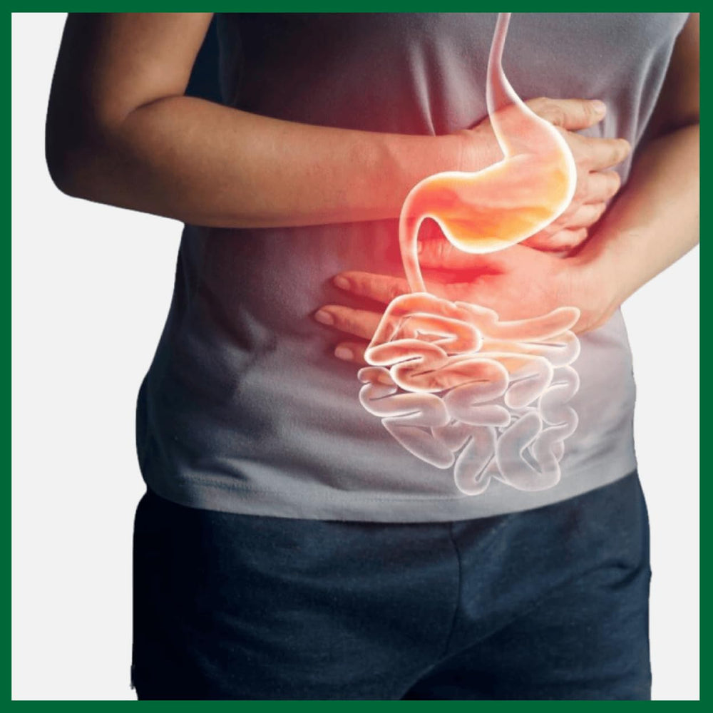 VEDIKROOTS Punarnavadi Guggulu for liver health support visual