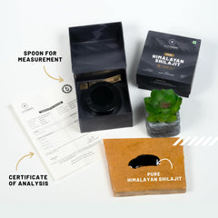 VedVision shilajit resin dab on finger for easy daily use