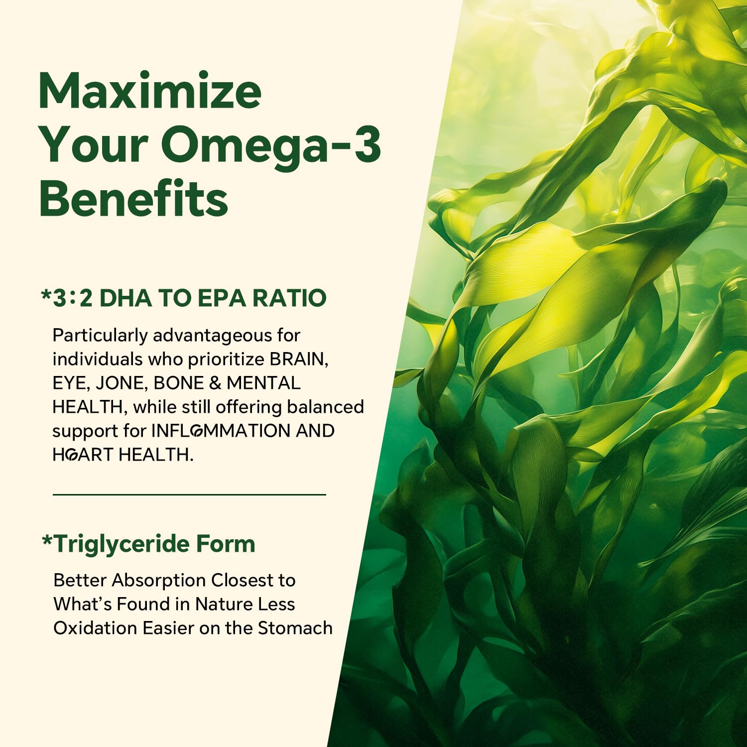 VEETAGYO brain health focus with DHA and EPA balance in gummies