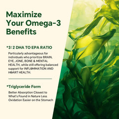 VEETAGYO brain health focus with DHA and EPA balance in gummies