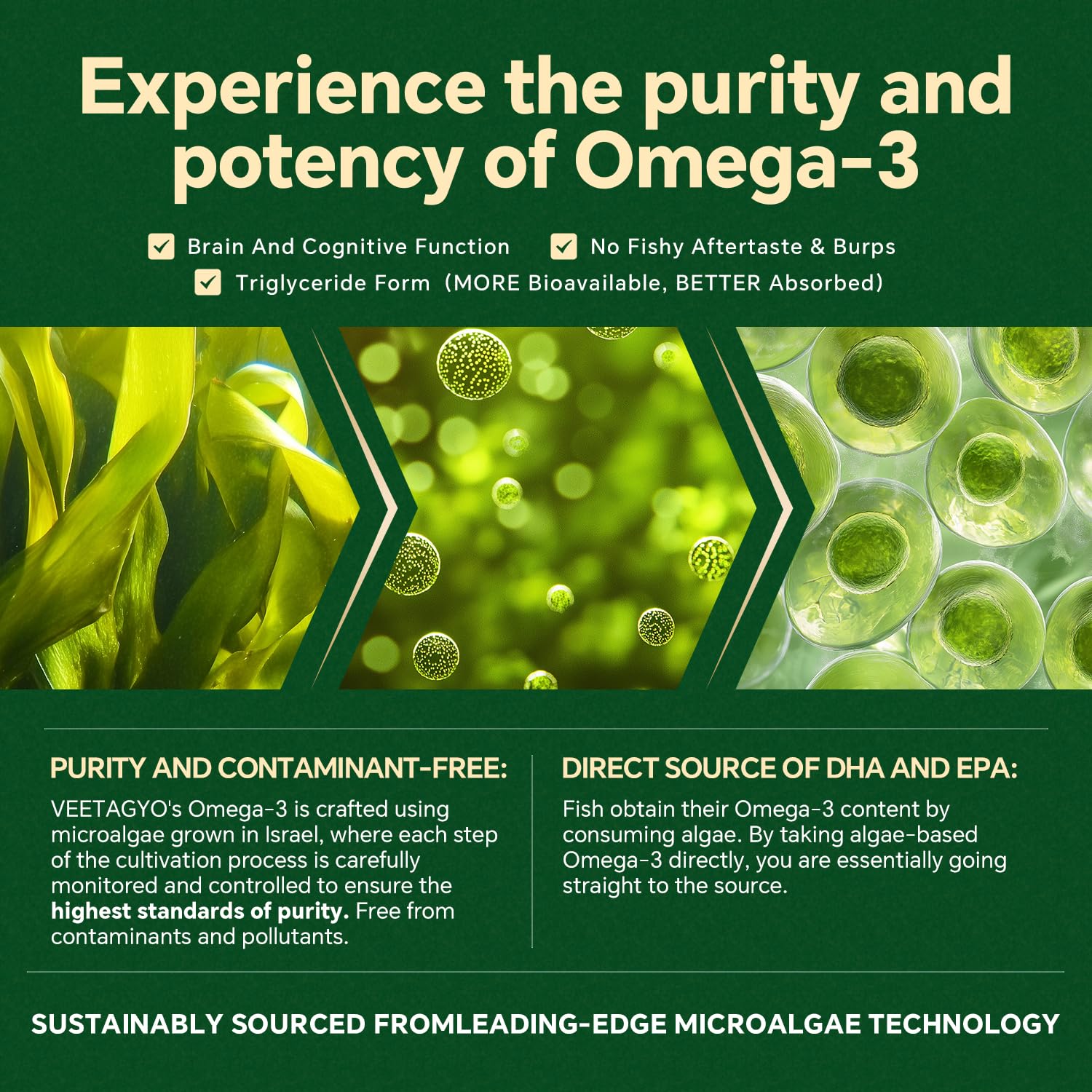 VEETAGYO outer pectin shell protecting nutrients in gummies