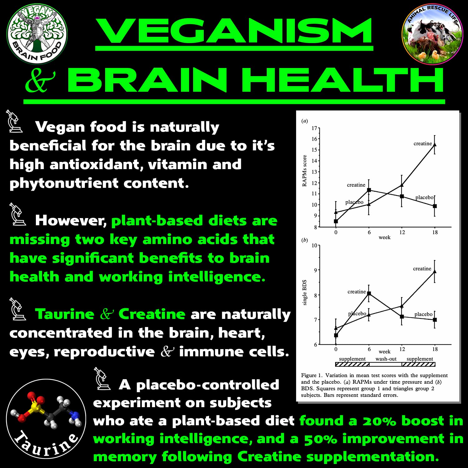 Close-up of Vegan Brain Food bottle label and serving details