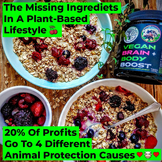 Vegan Brain Food powder scoop for easy daily measurement