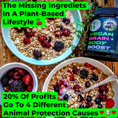 Vegan Brain Food powder scoop for easy daily measurement