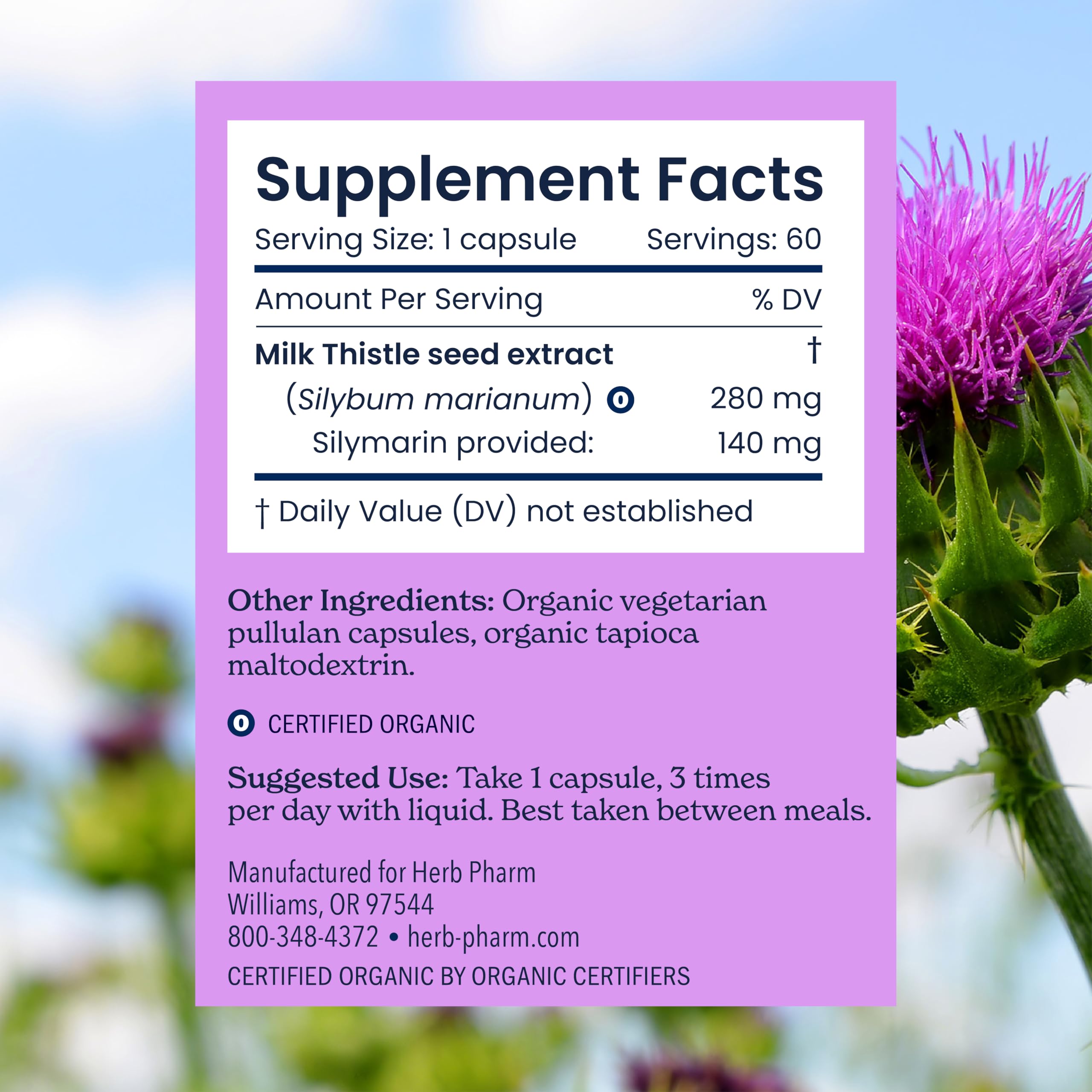 Vegan, gluten-free capsules in a bottle suitable for daily routines.