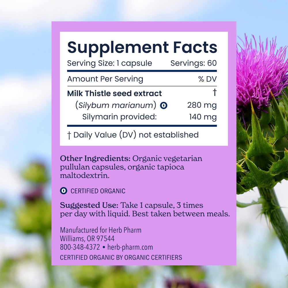 Vegan, gluten-free capsules in a bottle suitable for daily routines.