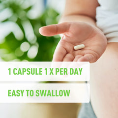 Véla Saw Palmetto gluten-free vegan capsules.