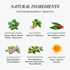 VERACITY SELFCARE Rhodiola rosea close-up highlighting mental clarity support