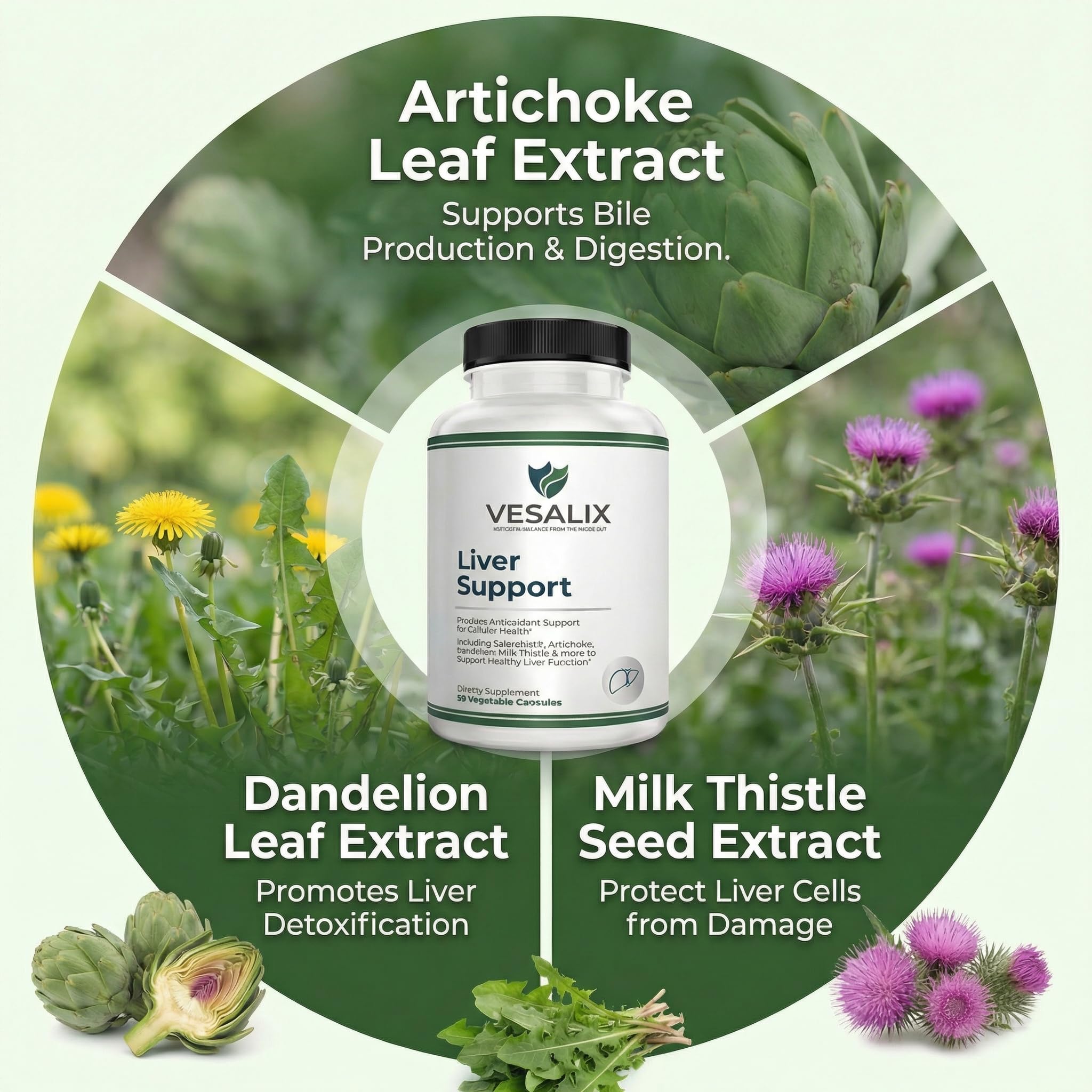 Digestive enzymes icon for VESALIX Liver Support indicating improved nutrient absorption.