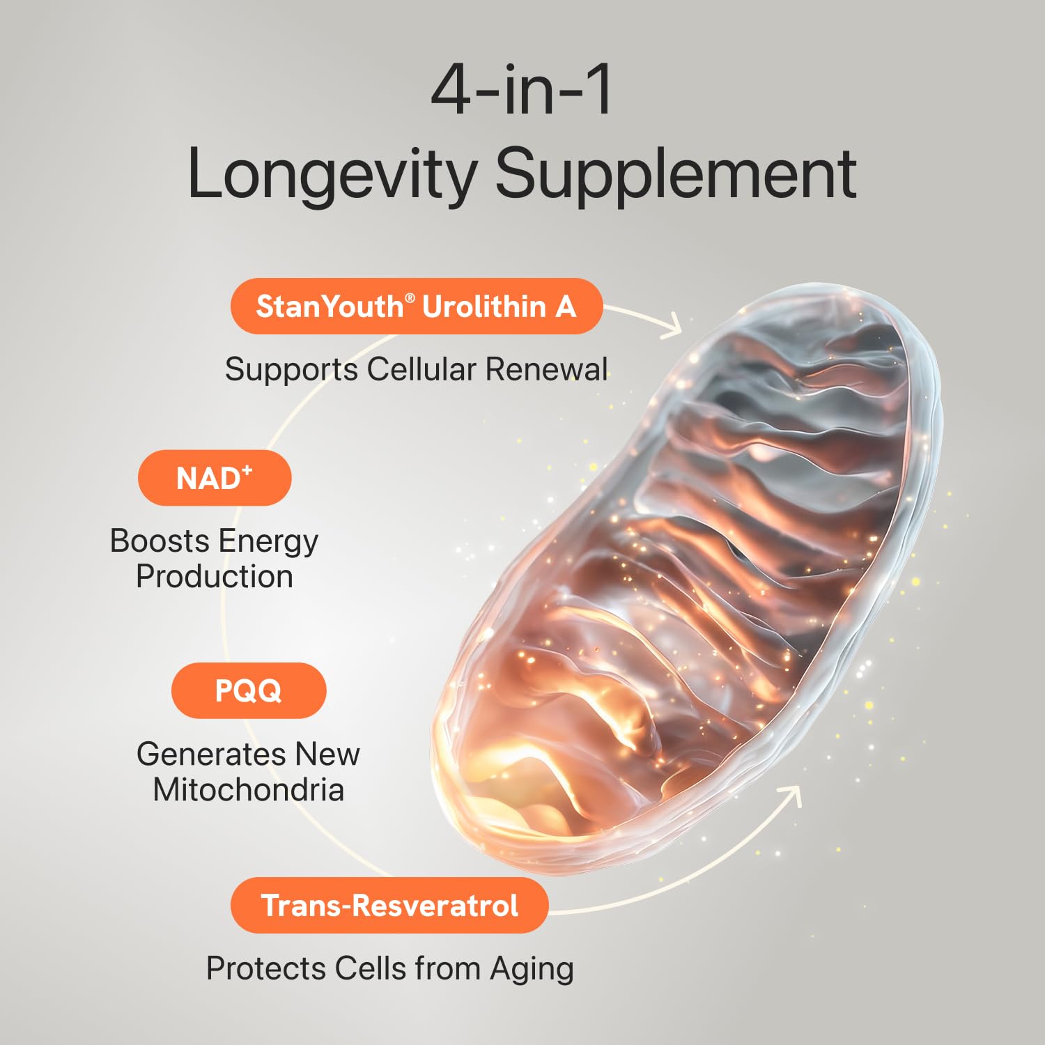 Closeup of Vevoec Gynable capsules showing easy-to-swallow servings.