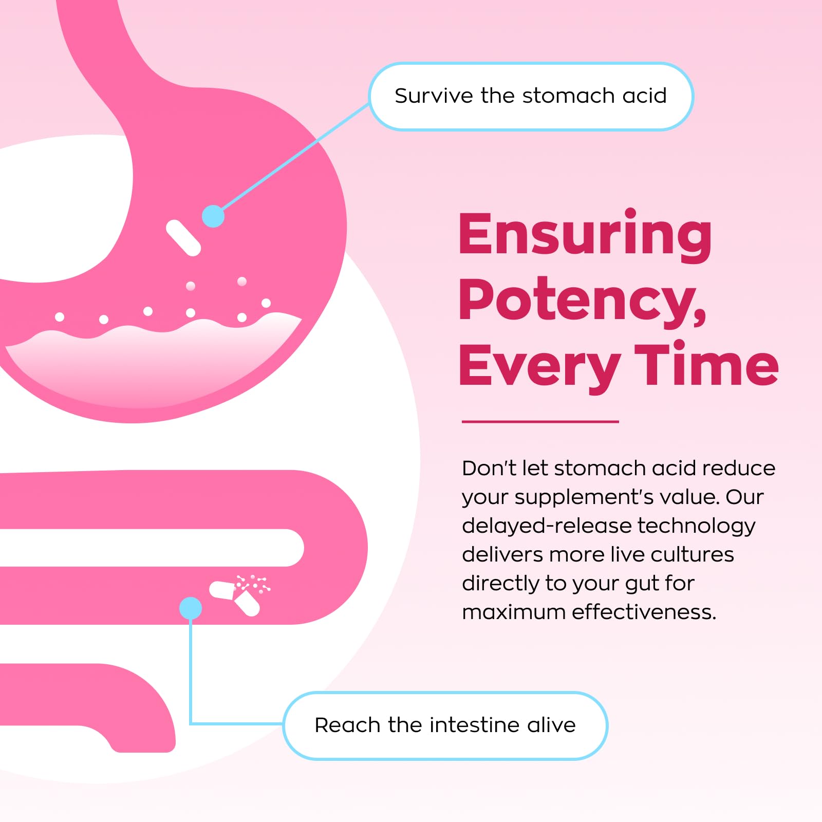 Vevoec Gynable daily-use capsule ready for your routine.