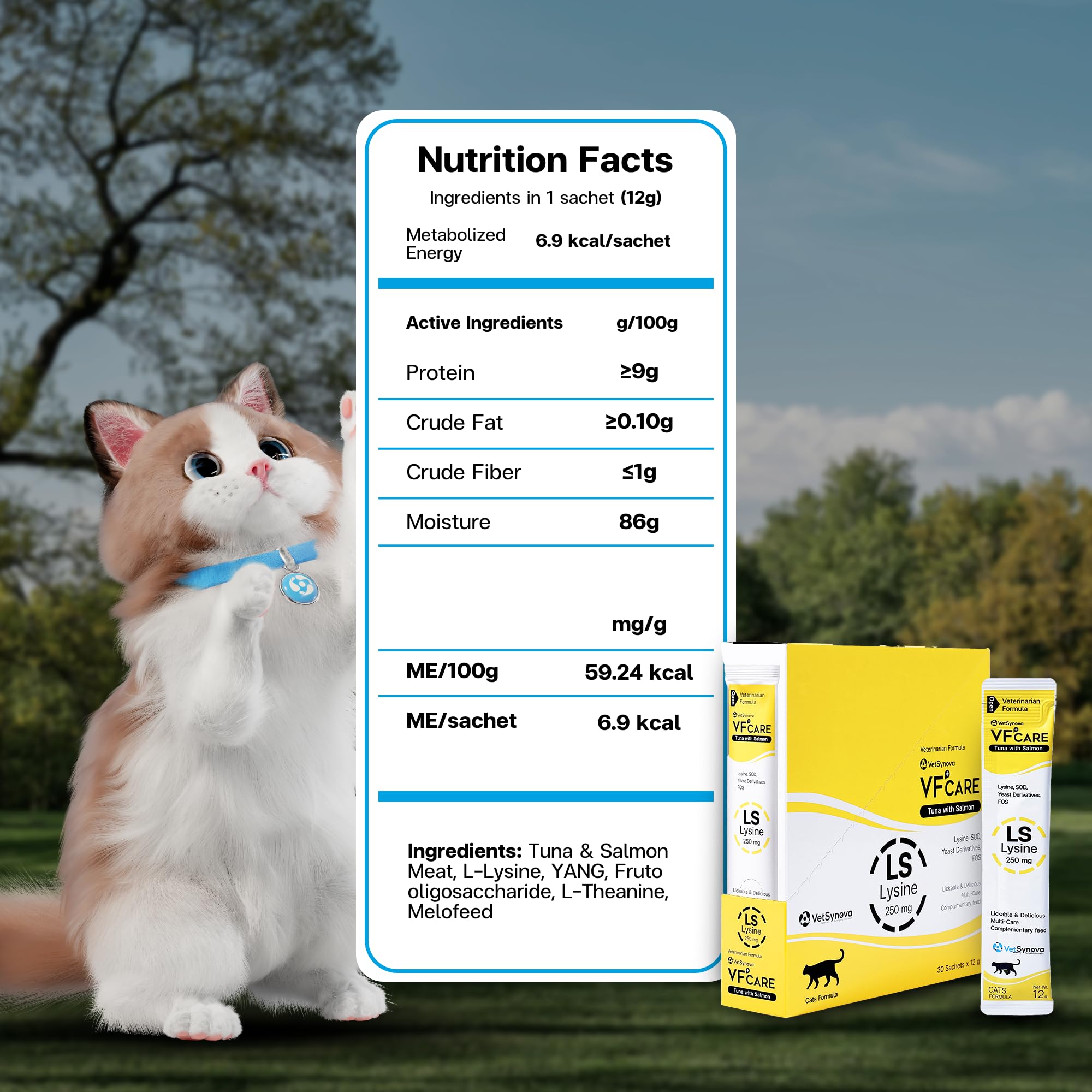 Cat enjoying VFCARE Lysine for Cats as part of daily routine.