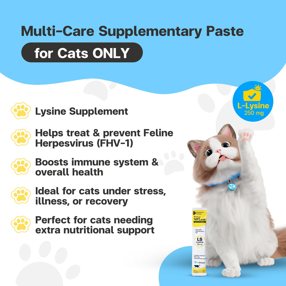 VFCARE Lysine for Cats packaging close-up highlighting vet-recommended formula.