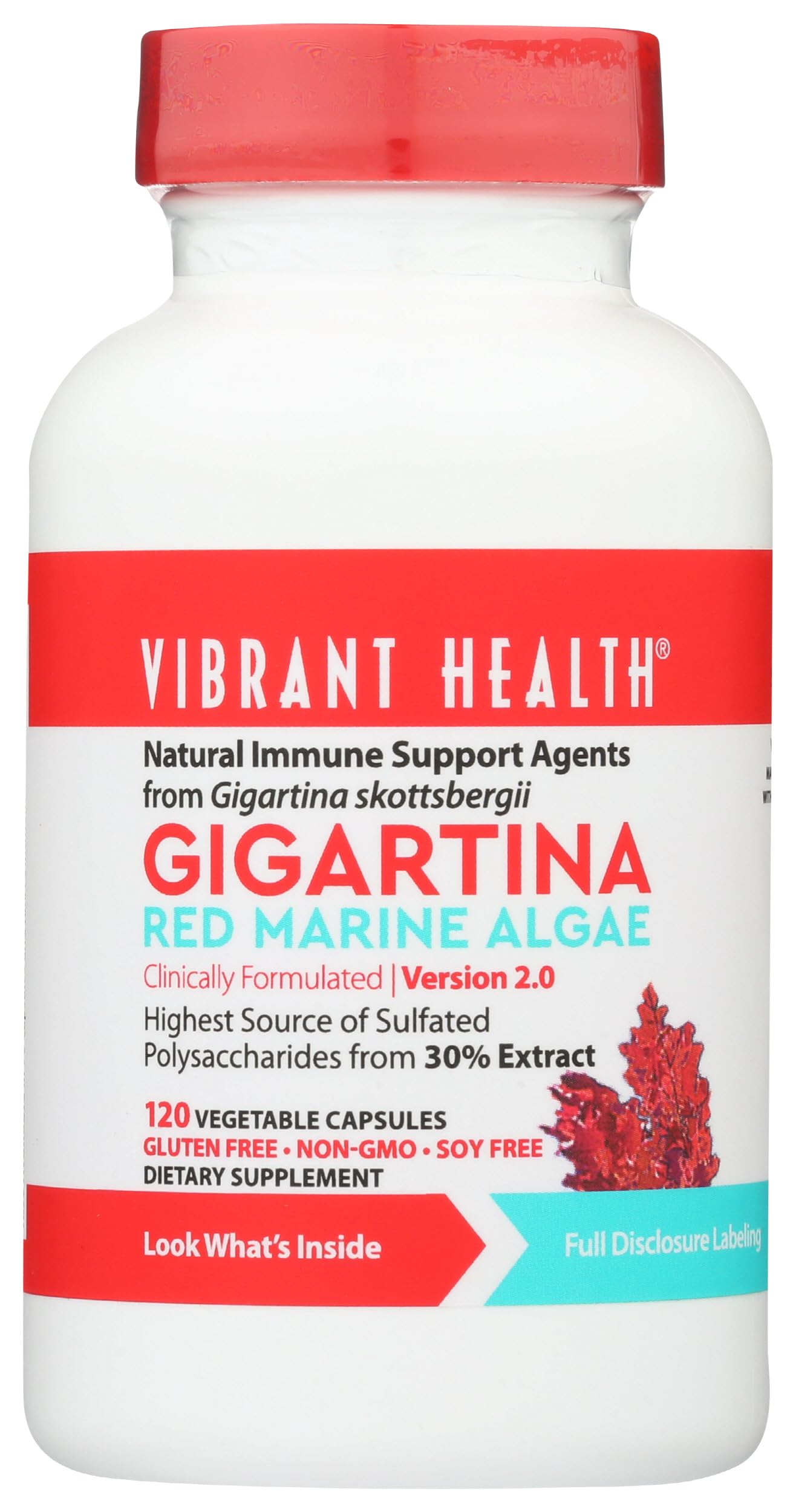 Vibrant Health 500mg gigartina extract note emphasizes high-potency polysaccharides