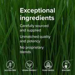 Vibrant Health Green Vibrance 12 probiotic strains graphic highlights diverse gut flora support