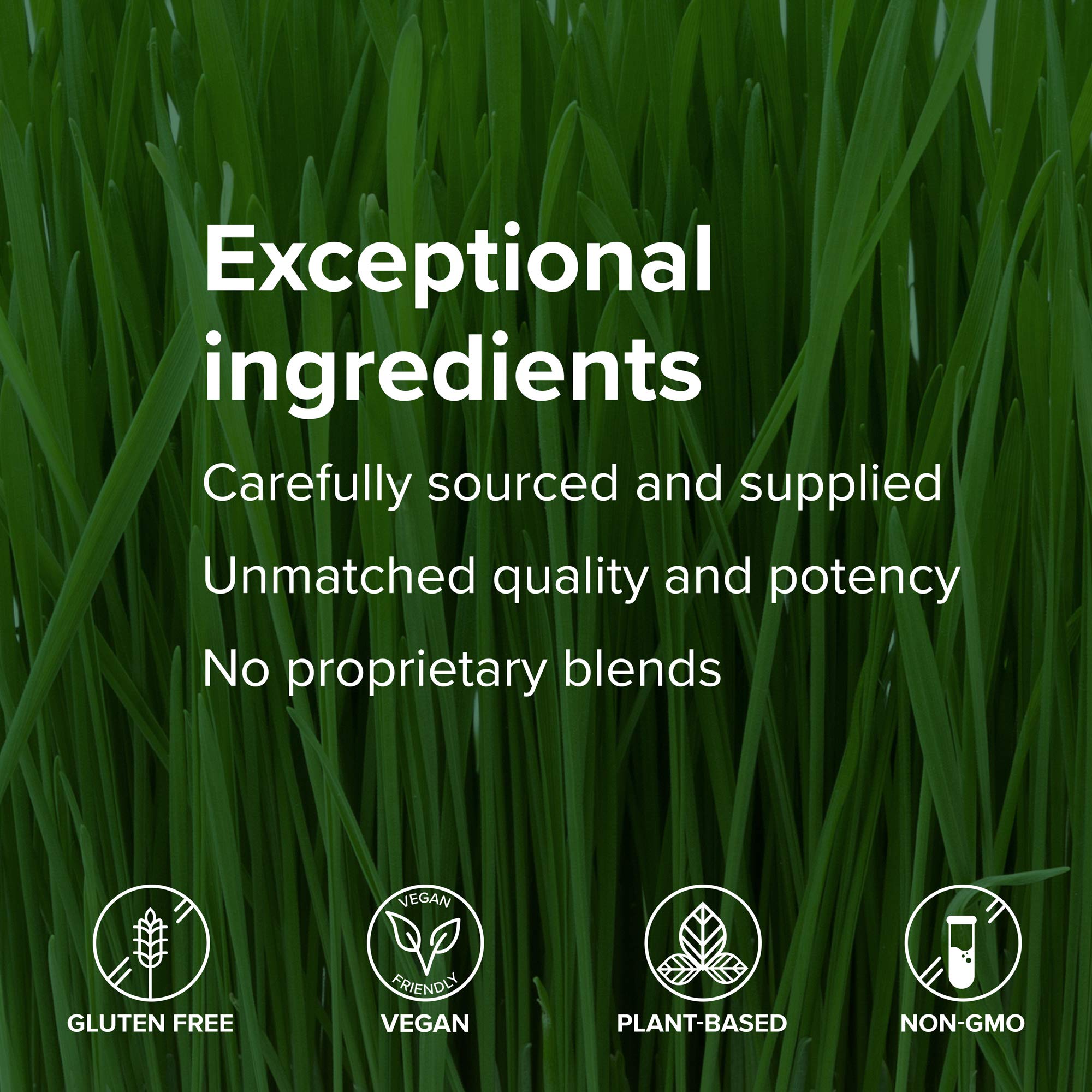 Vibrant Health Maximum Vibrance eco-friendly packaging for on-the-go use