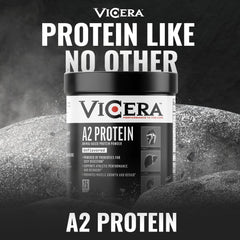 VICERA A2 powder in baking and smoothies for versatility