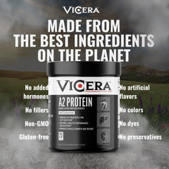 VICERA A2 protein powder in daily-use ideas for smoothies or oats