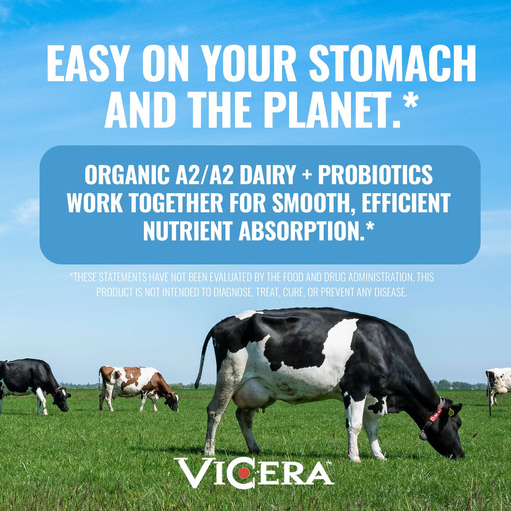 Overnight oats prepared with VICERA A2 Vanilla Creme mix.