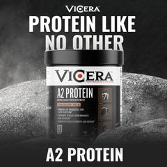 Vicera A2 Protein Powder probiotic AB22 and Celtic sea salt visuals