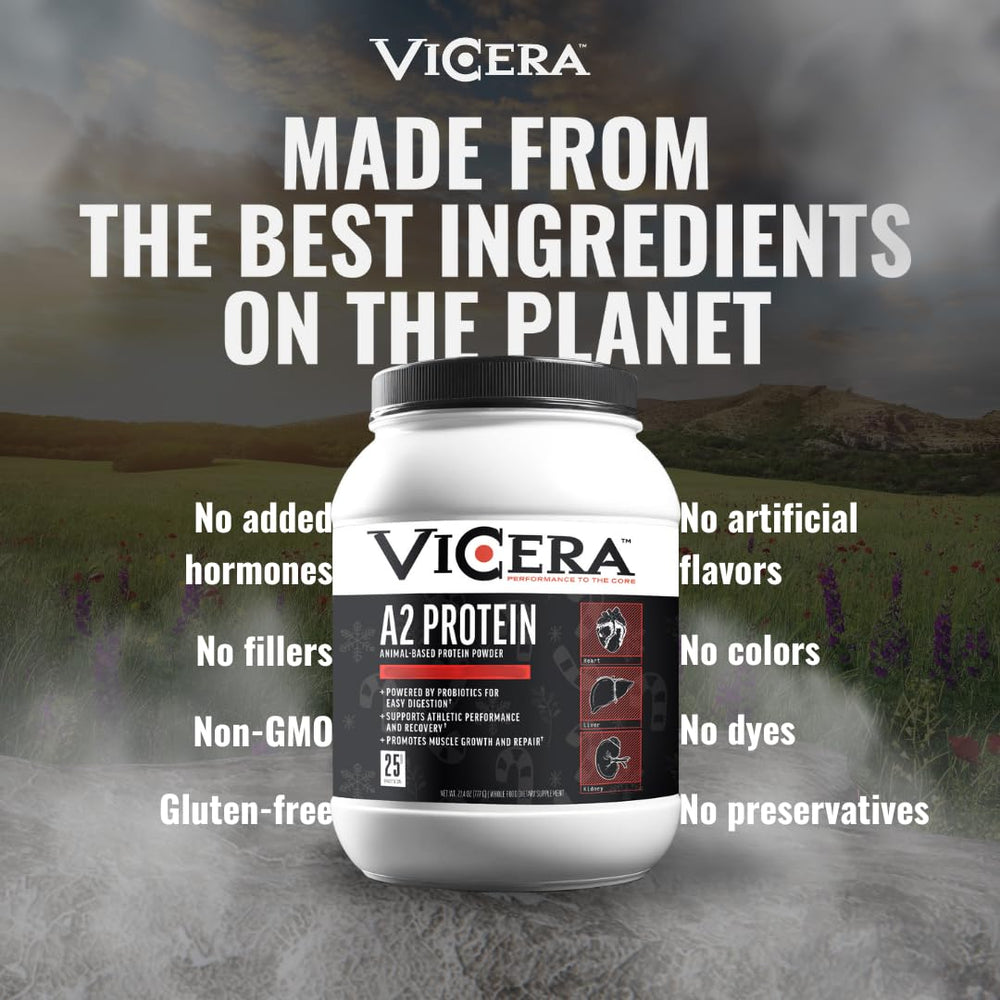 ViCera baked goods add-in for protein-rich recipes