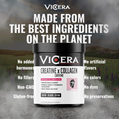 VICERA tub displayed with clean-label branding and flavor