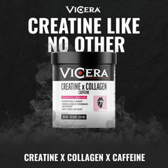 VICERA powder dissolving quickly in water