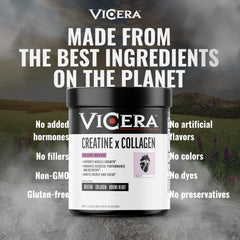 VICERA powder capsules option shown for travel convenience