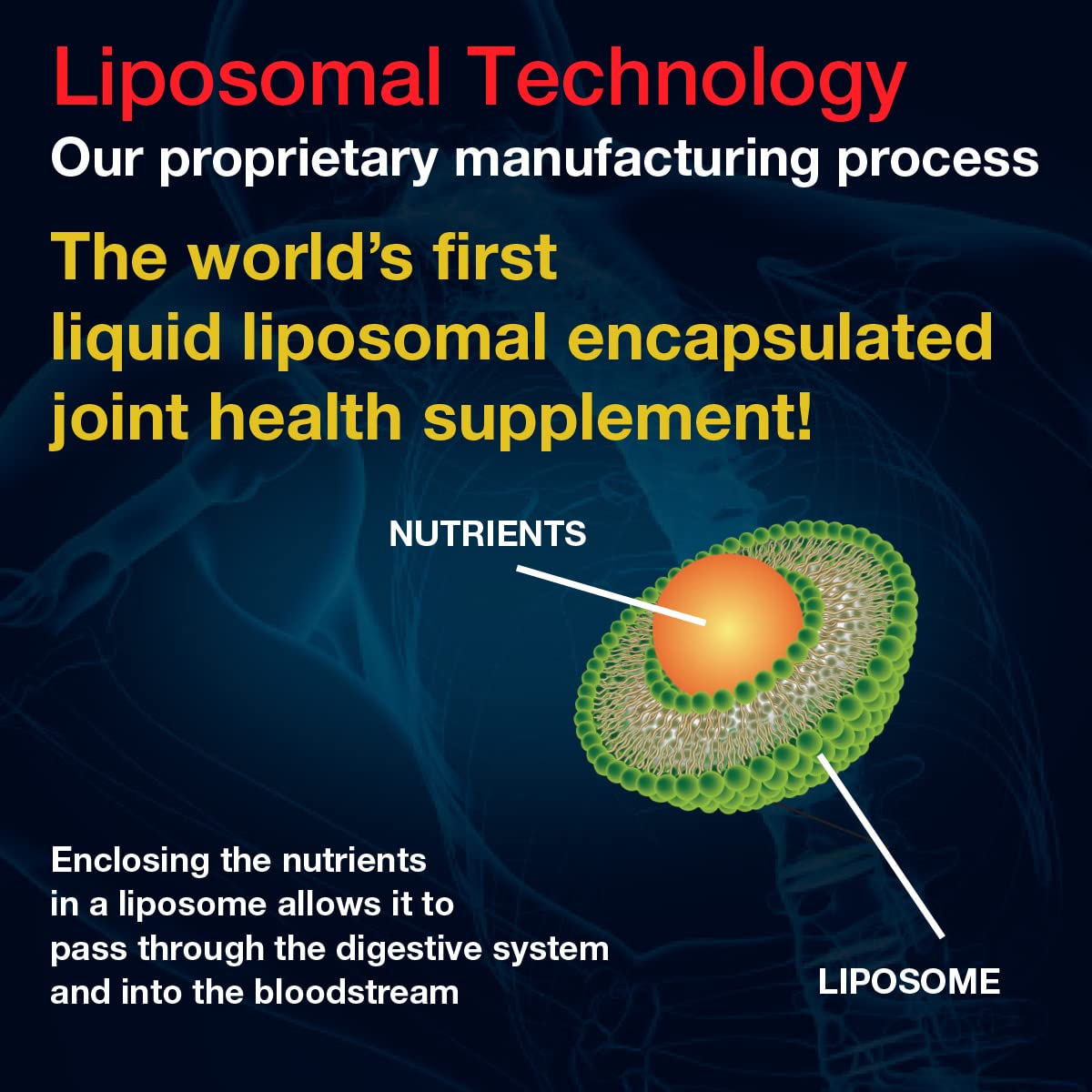 Aurora liposomal delivery visual implies enhanced absorption.