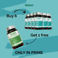 VIFADIMED Colon natural ingredients montage for gut health