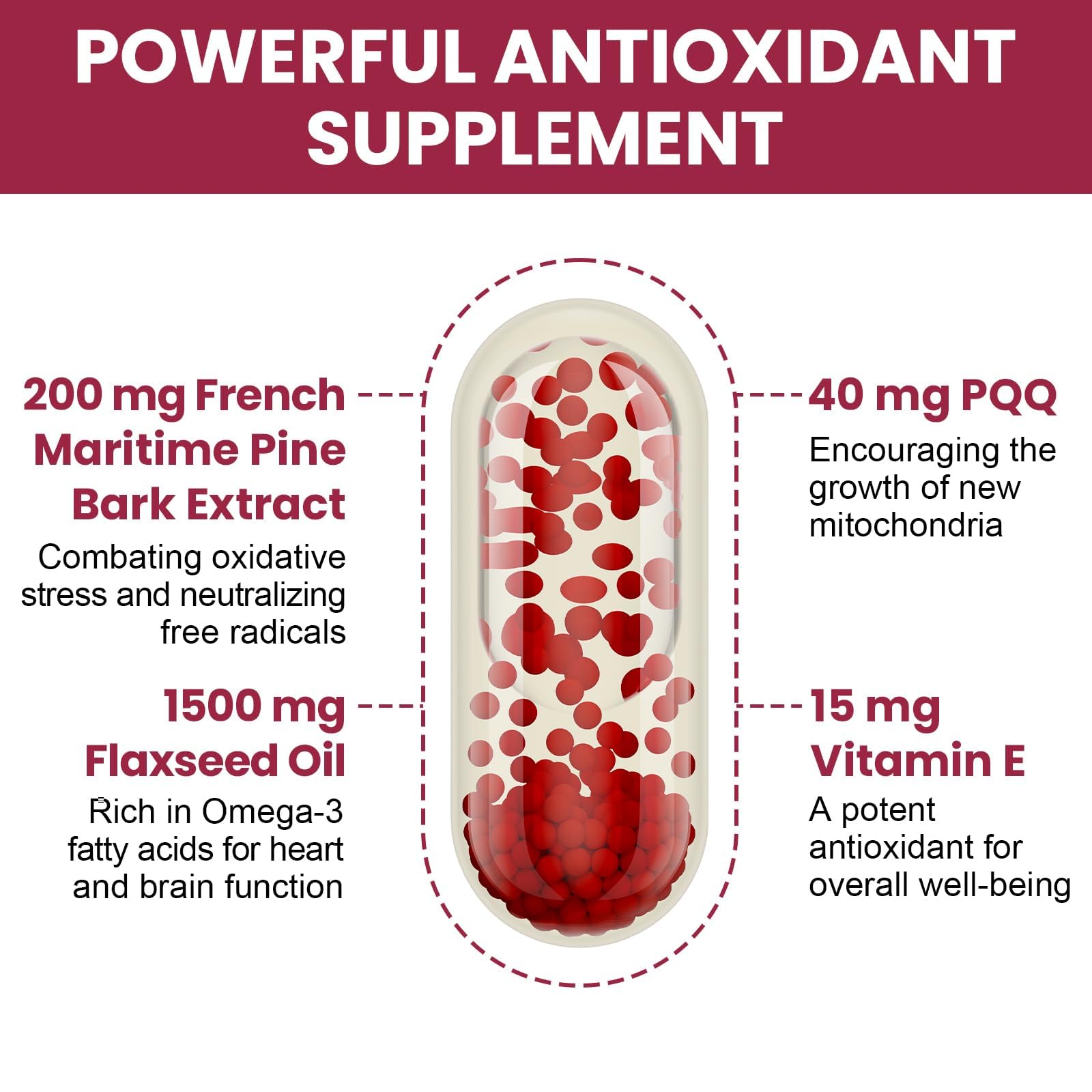 Vigorizar Pycnogeno 95% proanthocyanidins seal signals potency.