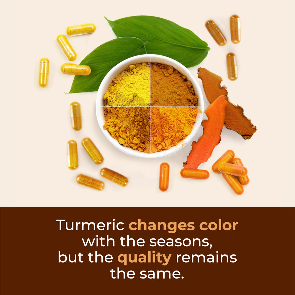 Vimerson Health capsule close-up illustrates easy daily dosing.