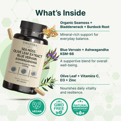 VINATURA Black Seed Oil capsules with antioxidant‑rich formulation