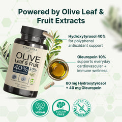 VINATURA infographic illustrating olive polyphenol blend and daily capsule intake.