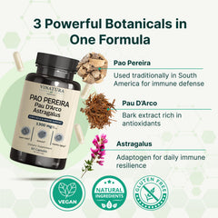 VINATURA Pau D'Arco inner bark capsules highlight traditional healing properties