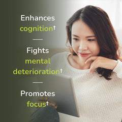 Vinco ingredients bacopa monnieri closeup highlights focus and calm.