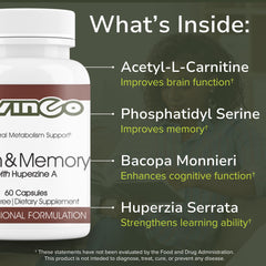 Vinco ingredients phosphatidyl serine closeup emphasizes memory and cognitive function.