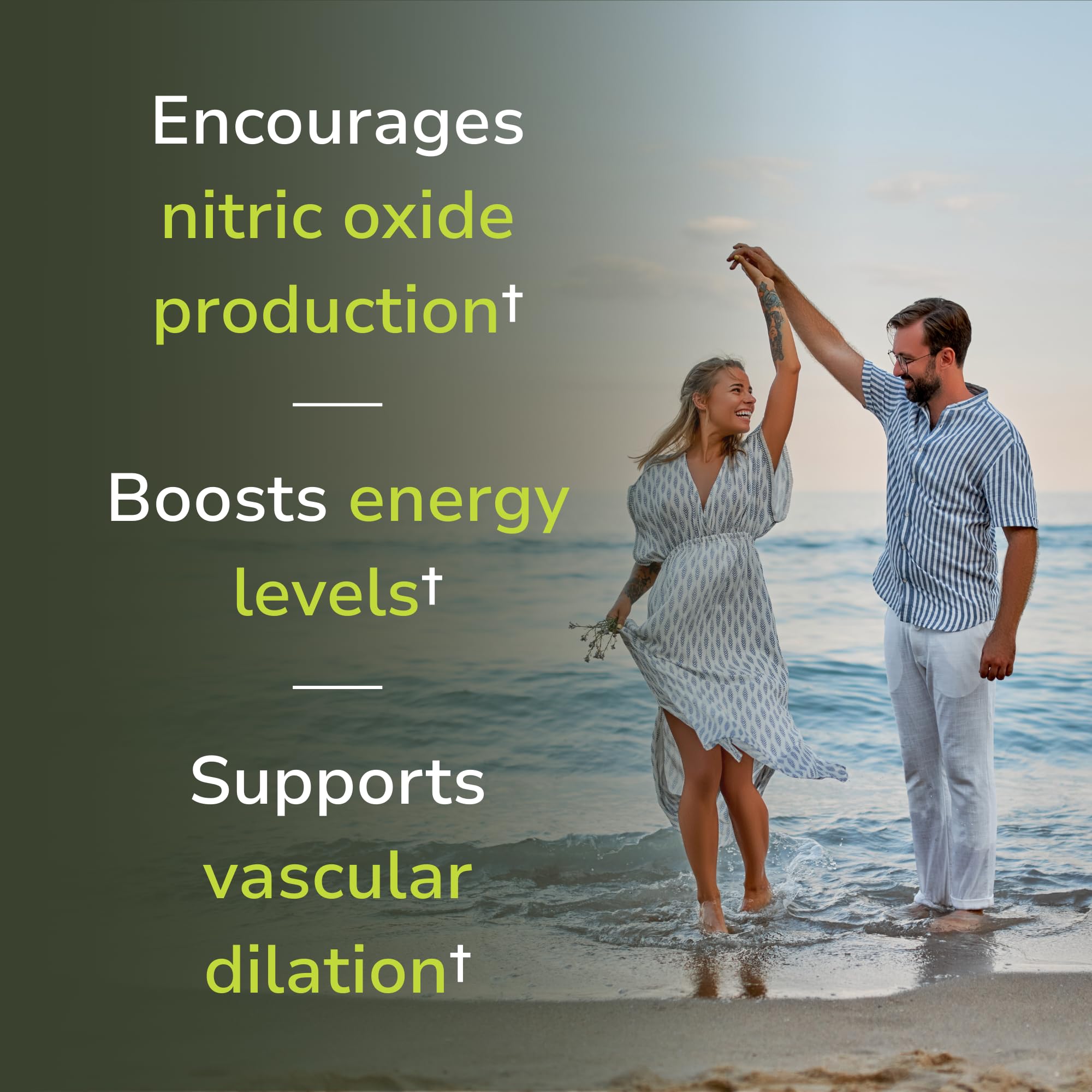 Vinco Nitric Oxide Elite grape seed extract highlights antioxidant support.