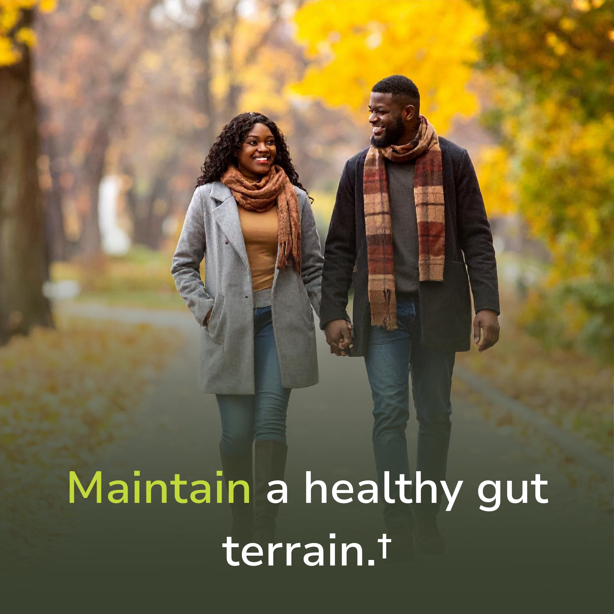 Vinco probiotic daily supplement label showing potency and digestion support