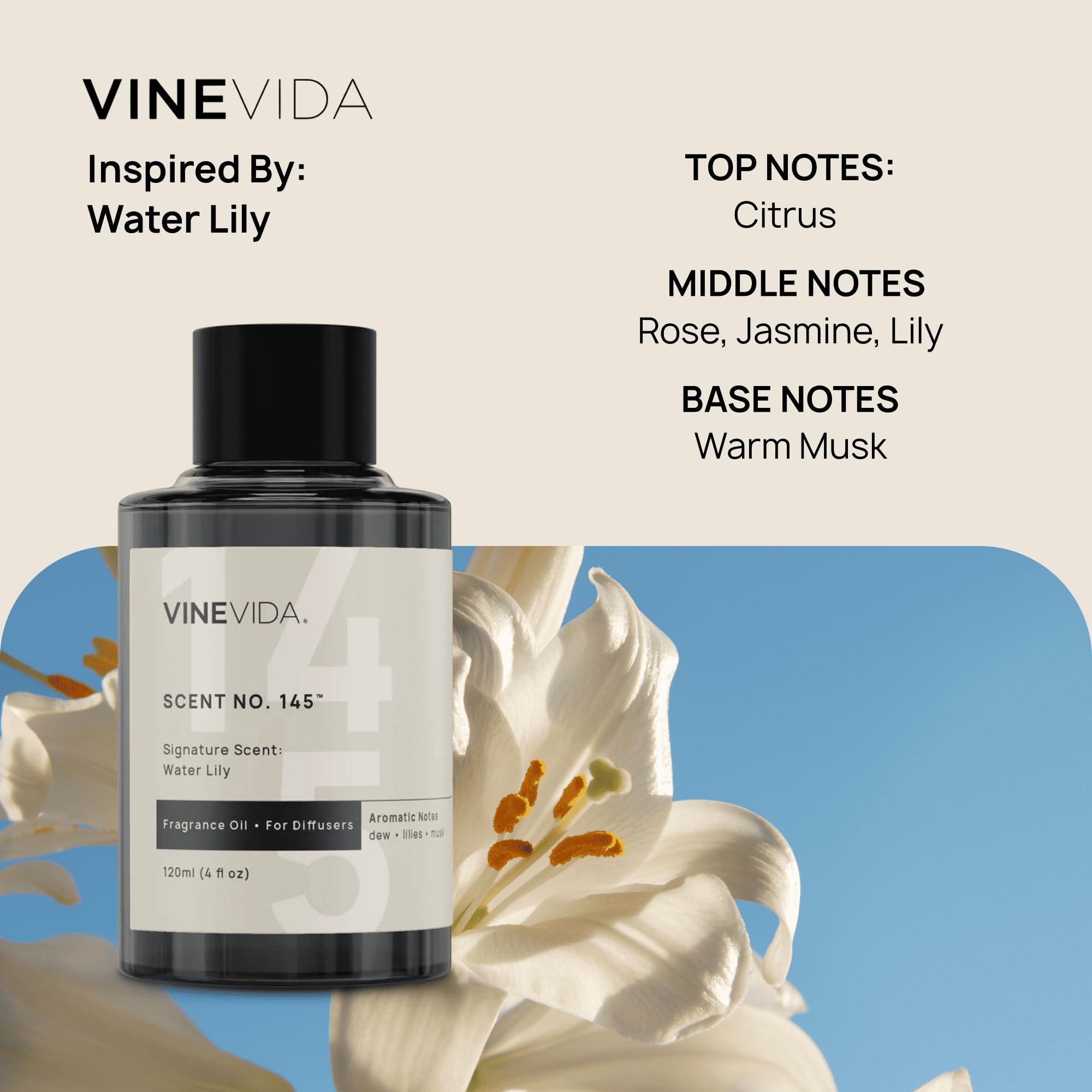 VINEVIDA Clean Collection Eucalyptus Spearmint diffuser oil bottle for refreshing clarity