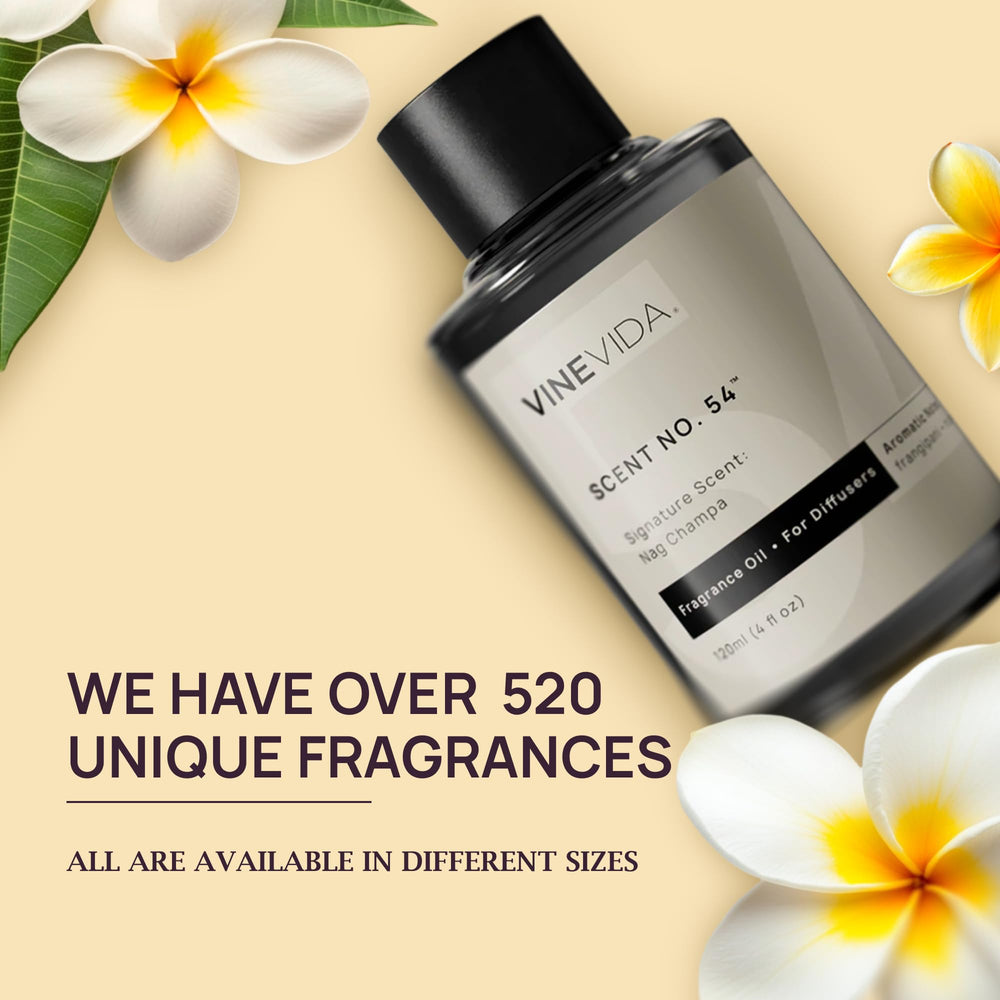 VINEVIDA Luxury diffuser room scene demonstrates versatile compatibility.