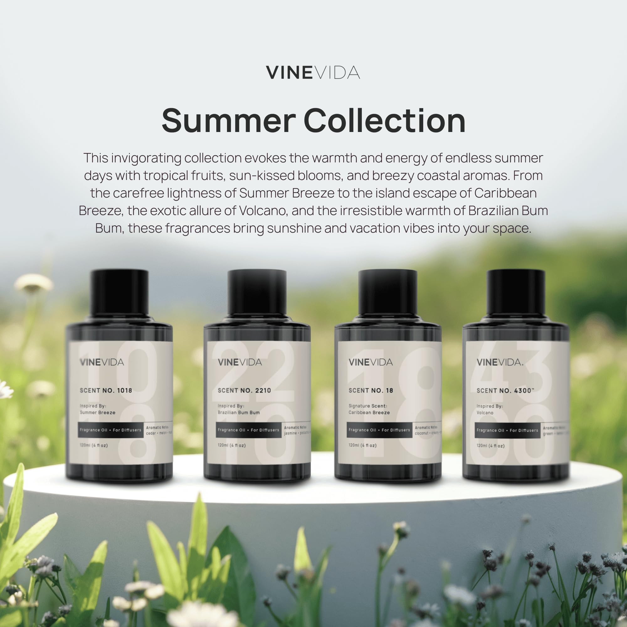 VINEVIDA long-lasting diffuser oil bottle designed for lasting aroma.