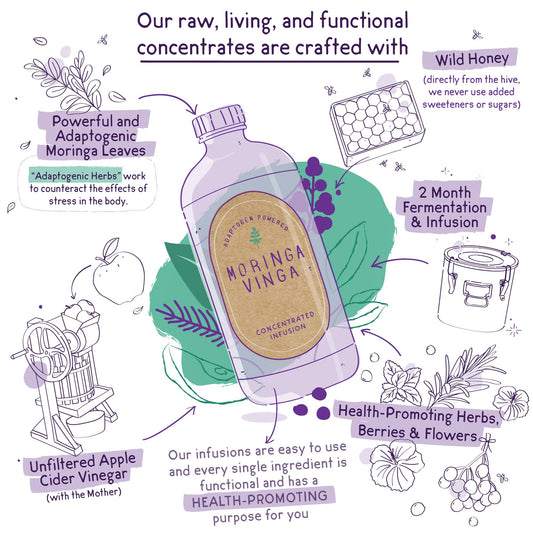 VINGA cold-pressed moringa extract close-up highlighting nutrient-rich blend