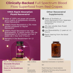 VINIA heart health illustration implying blood flow support.