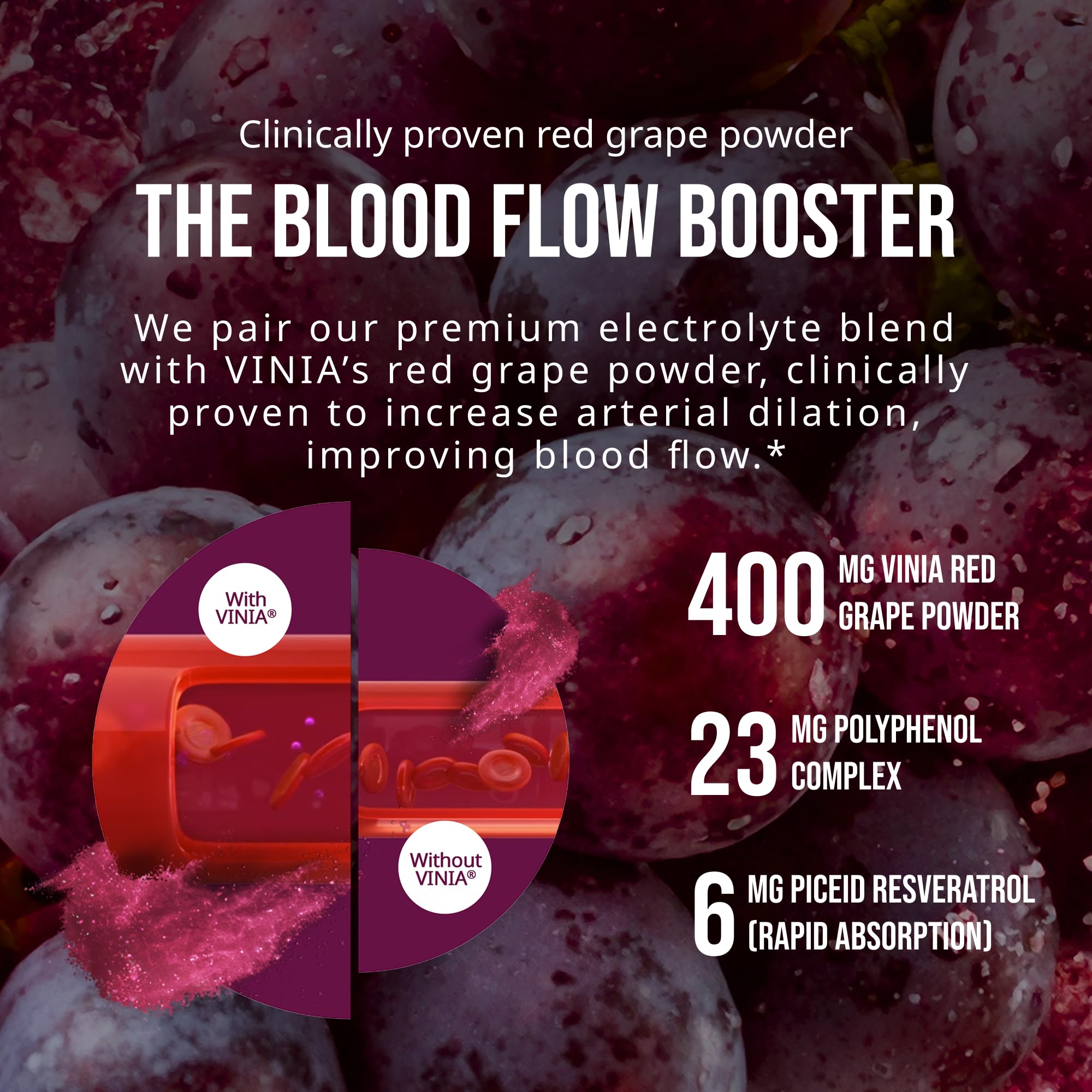 Close-up of VINIA red grape polyphenol powder highlights resveratrol-rich formula.