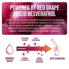 Flatlay of ingredients emphasizes magnesium and polyphenols for hydration support