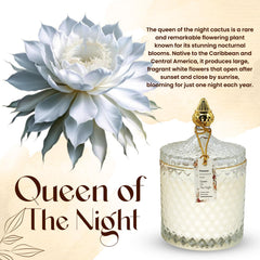 VIONAMI rare flower fragrance closeup delivering soft, exotic notes for intimate evenings