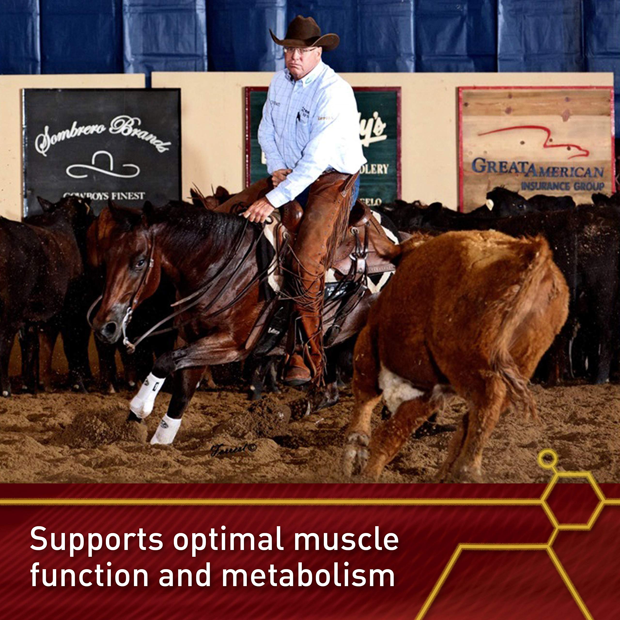 Antioxidant support illustration with Vita Flex Lactanase during intense exercise.