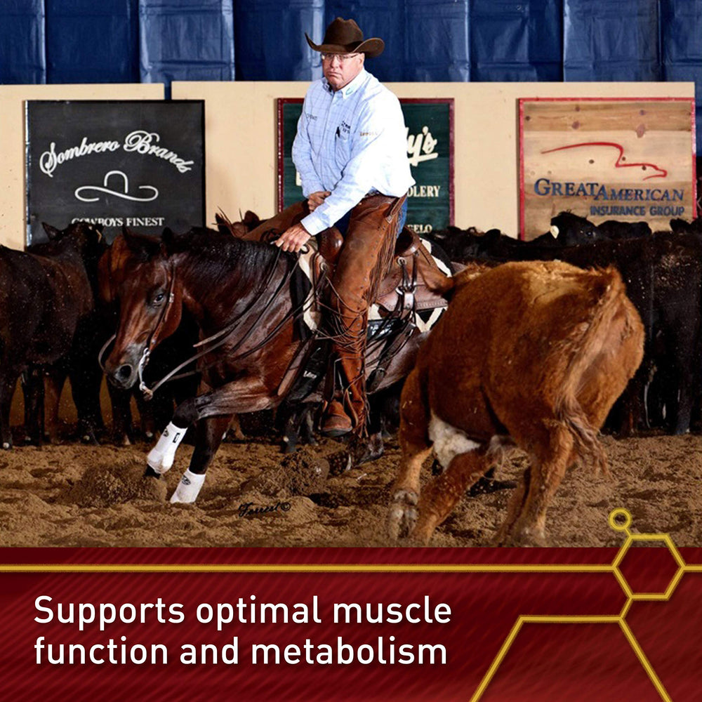 Antioxidant support illustration with Vita Flex Lactanase during intense exercise.